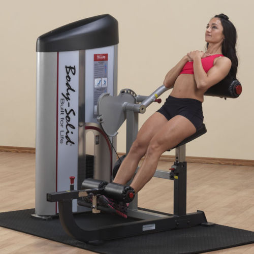 Body-Solid Series II Back and Ab Machine