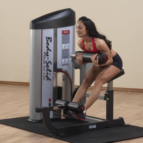 Body-Solid Series II Back and Ab Machine