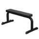 Body-Solid Flat Weight Bench GFB350B Commercial Rated (New)