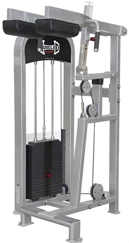 Muscle D Classic Line Standing Calf (New)