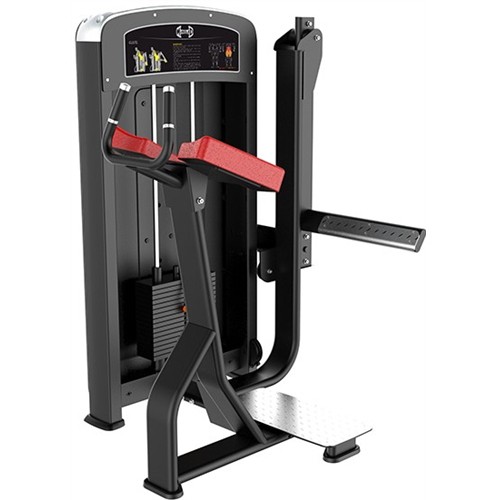 Muscle D Elite Line Glute (New)