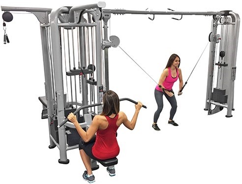 Muscle D Deluxe - 5 Stack Jungle Gym Version A (New)