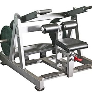 Muscle D Power Leverage Line Dip/Tricep Machine (New)