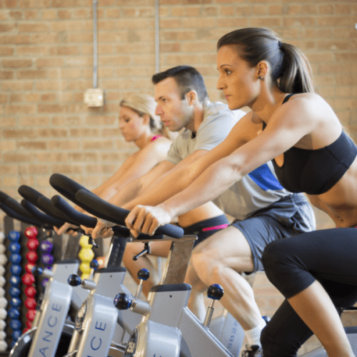 Body-Solid cycle and spin bike