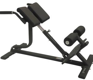 Torque Fitness Back Extension Bench (New)