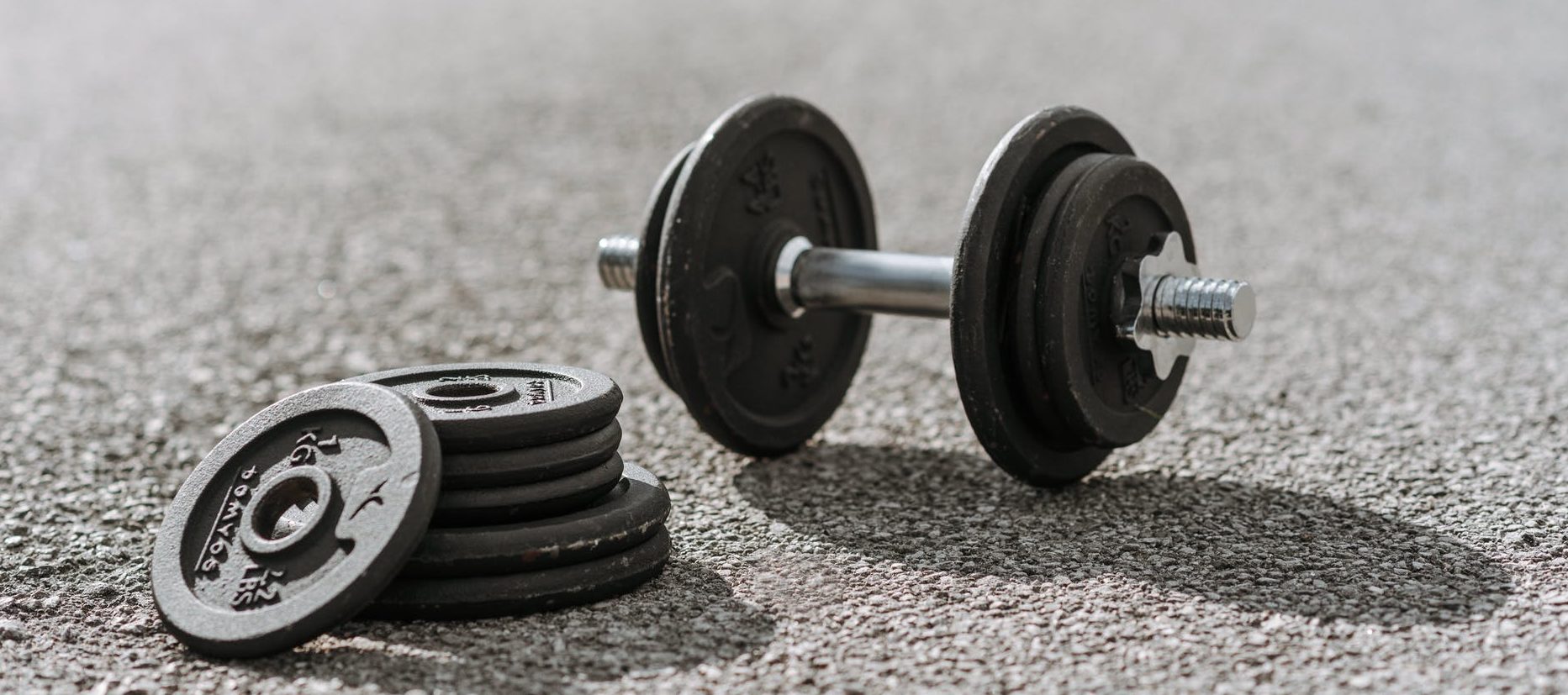 Dumbbell Weights for Sale Expert Fitness Supply