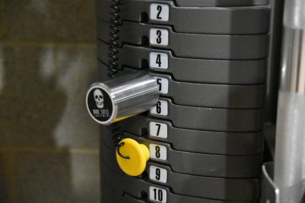 Bare Steel Equipment 10mm Short Stacked Weight Pin Cerakote