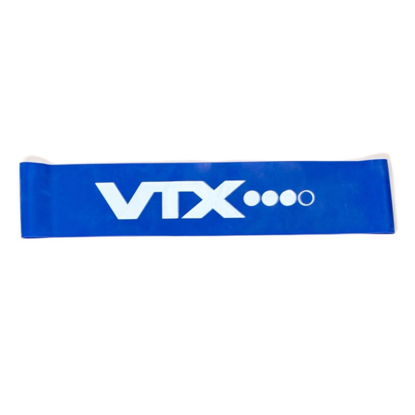 Troy Fitness Blue VTX Mini Loop Bands