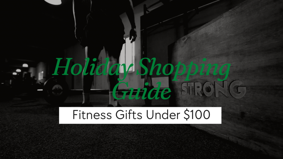 holiday shopping guide under $100